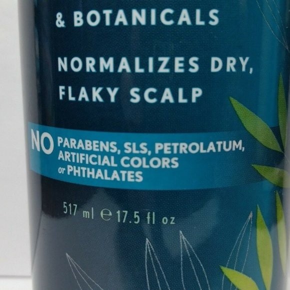 4 Jason Normalizing Tea Tree Treatment Shampoo - Picture 4 of 11